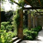 Bois des Moutiers (160) Mai 2012