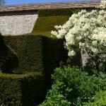 Bois des Moutiers (162) Mai 2012