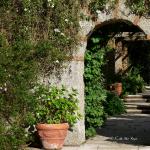 Bois des Moutiers (166) Mai 2012