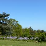 Bois des Moutiers (170) Mai 2012