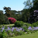 Bois des Moutiers (173) Mai 2012