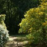 Bois des Moutiers (179) Mai 2012