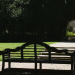 Bois des Moutiers (225) Mai 2012