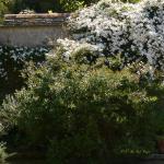 Bois des Moutiers (285) Mai 2012