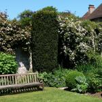 Bois des Moutiers (291b) Mai 2012