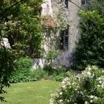 Bois des Moutiers (292) Mai 2012