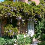 Bois des Moutiers (293) Mai 2012