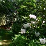 Bois des Moutiers (315) Mai 2012