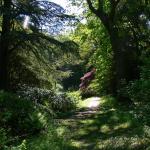 Bois des Moutiers (357) Mai 2012