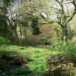 Bois des Moutiers (52) Mai 2012