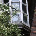 Bois des Moutiers (72) Mai 2012