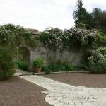 Bois des Moutiers (89) Mai 2012