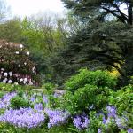 Bois des Moutiers (98) Mai 2012