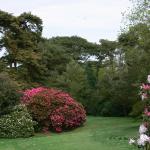 Bois des Moutiers (99) Mai 2012