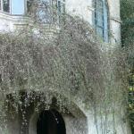 Bois des Moutiers (108) mars 2012