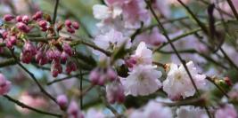 Le Bois des Moutiers