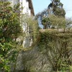 Bois des Moutiers (126) mars 2012