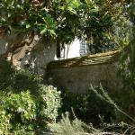 Bois des Moutiers (56) mars 2012