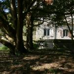 Bois des Moutiers (59) mars 2012