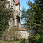 Bois des Moutiers (62) mars 2012