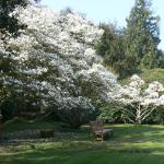 Bois des Moutiers (65) mars 2012