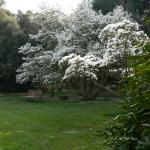 Bois des Moutiers (66) mars 2012