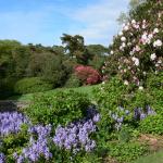 Bois des Moutiers (162) Mai 2012