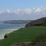 Falaise Varengeville (2)