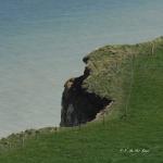 Falaise Varengeville (6)