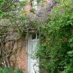 Bois des Moutiers (3) Mai 2012