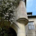 Bois des Moutiers (80) Mai 2012