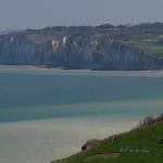 Falaise Varengeville (3)