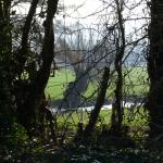 Saint Aubin le Cauf (3-