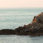 Crepuscule a Ploumanach (7)