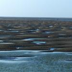 Grande marée dans la baie de somme