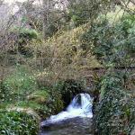 Veules les Roses (6)