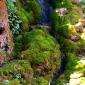 Cascade et mousse
