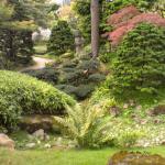 Jardin (1) Kahn sept 2011