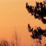 Couleurs du crepuscule