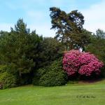 Dans les massifs fleuris