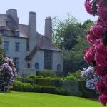 Ecrin de rhododendrons