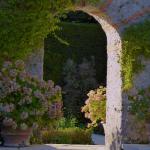 Eté indien au Bois des Moutiers 2