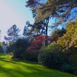 Eté indien au Bois des Moutiers 9