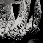 Que la vie pétille de lumière