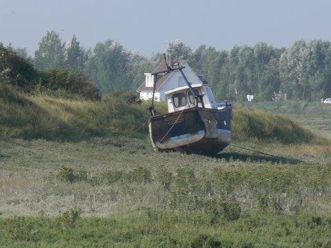 P1060229