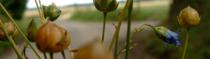 Diverses Photos
