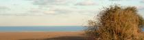 Diverses Photos