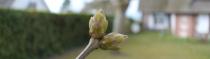 Diverses Photos
