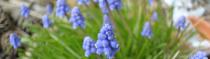 Diverses Photos