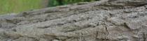Diverses Photos